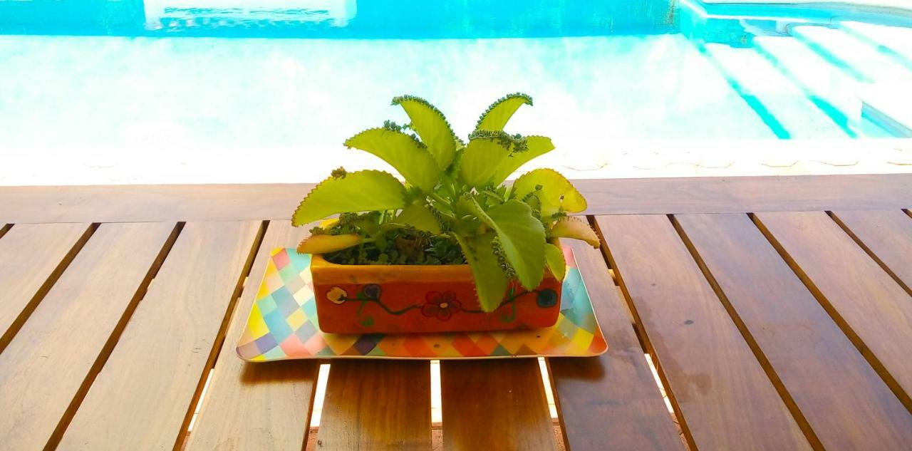 Casas Luna Y Sol - Casa Sol Valladolid  Zewnętrze zdjęcie